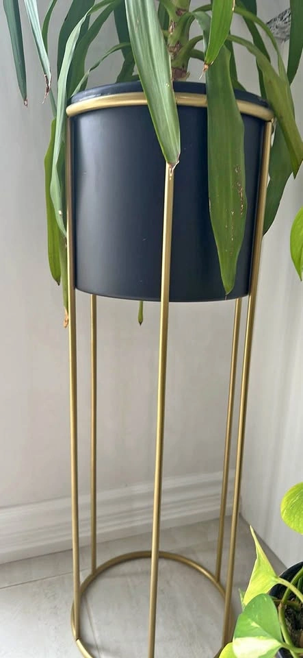Modern Gold and Black Metal Plant Stand