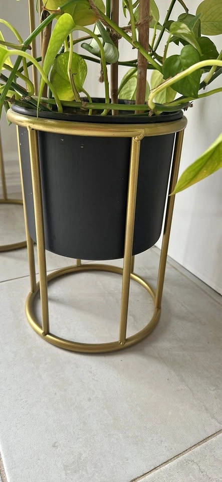 Black and Gold Metal Plant Stand with Pot
