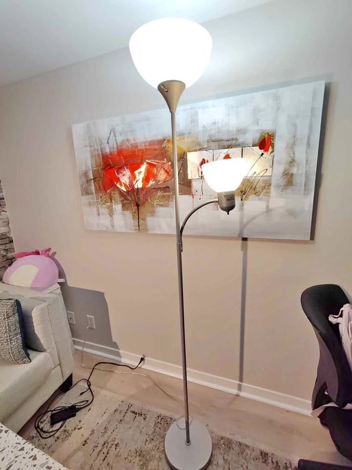 2-Light Floor Lamp with Flexible Reading Light including 2 led b
