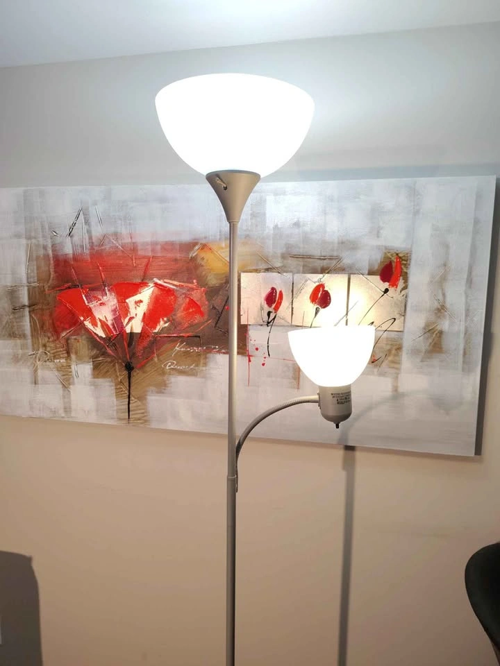 2-Light Floor Lamp with Flexible Reading Light including 2 led b - photo 2