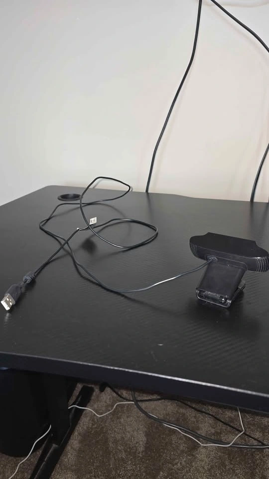 Logitech C922 - photo 2