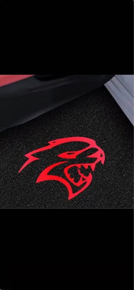 Dodge charger door projector lights - photo 2