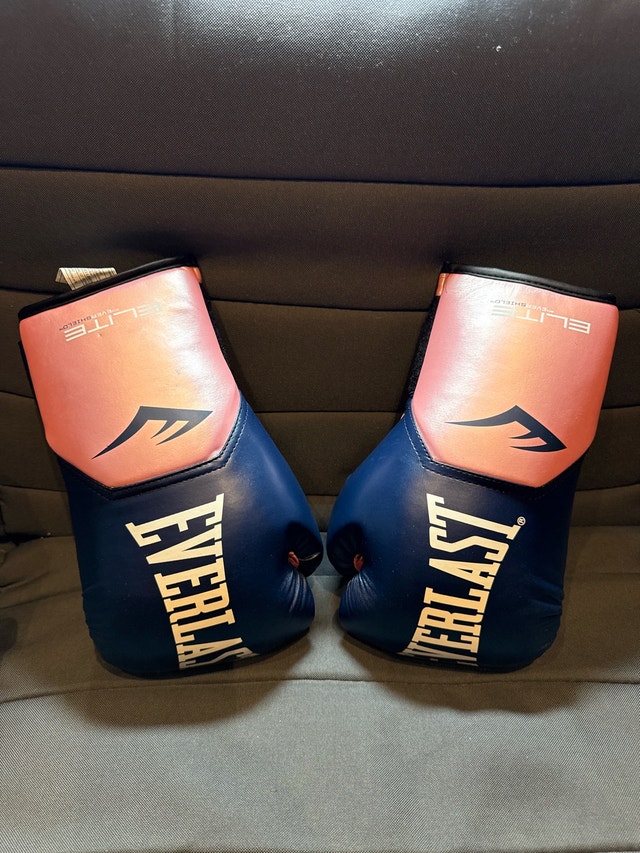Everlast Elite Training Gloves 12oz - photo 2