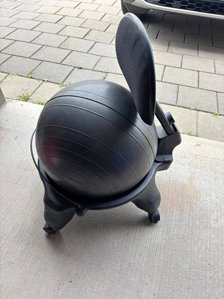Balance Ball Chair