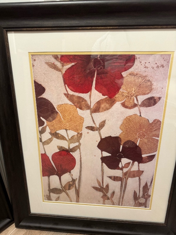 Framed pictures