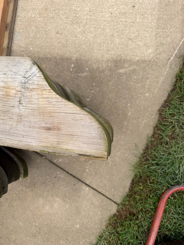 pressure treated lumber