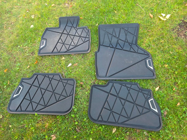 BMW OEM All Weather Floor Liner