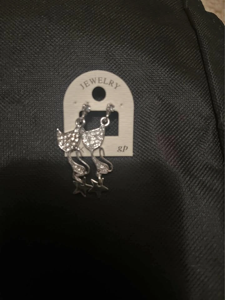 Brand New Dangle Earrings