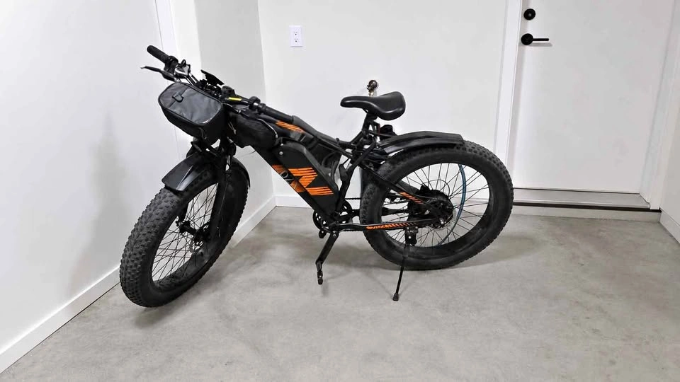 Electric mountain bike