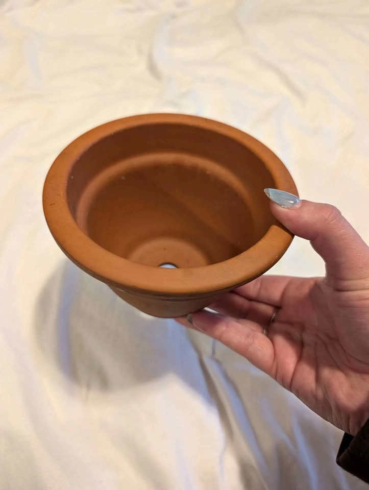 Terra Cotta Pot