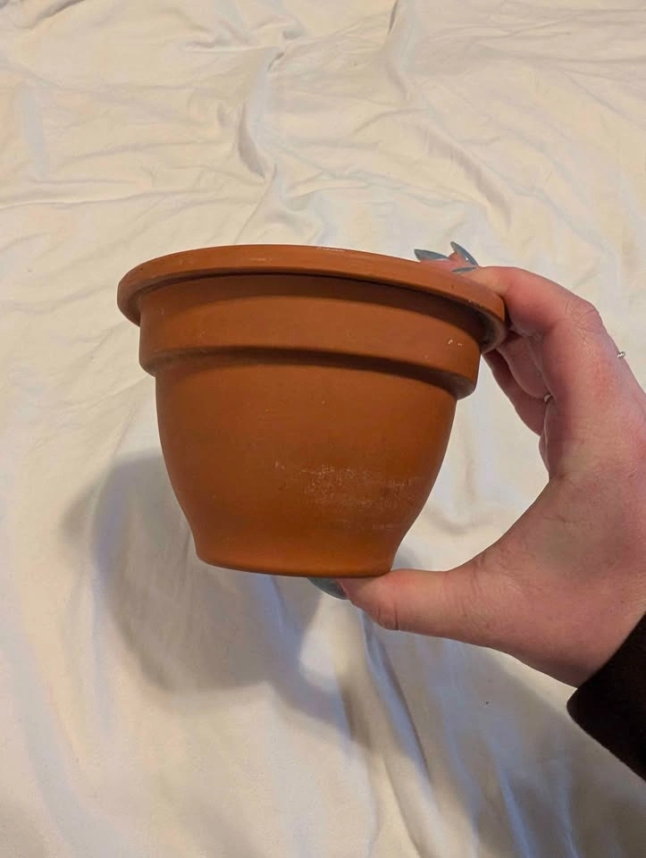 Terra Cotta Pot - photo 3