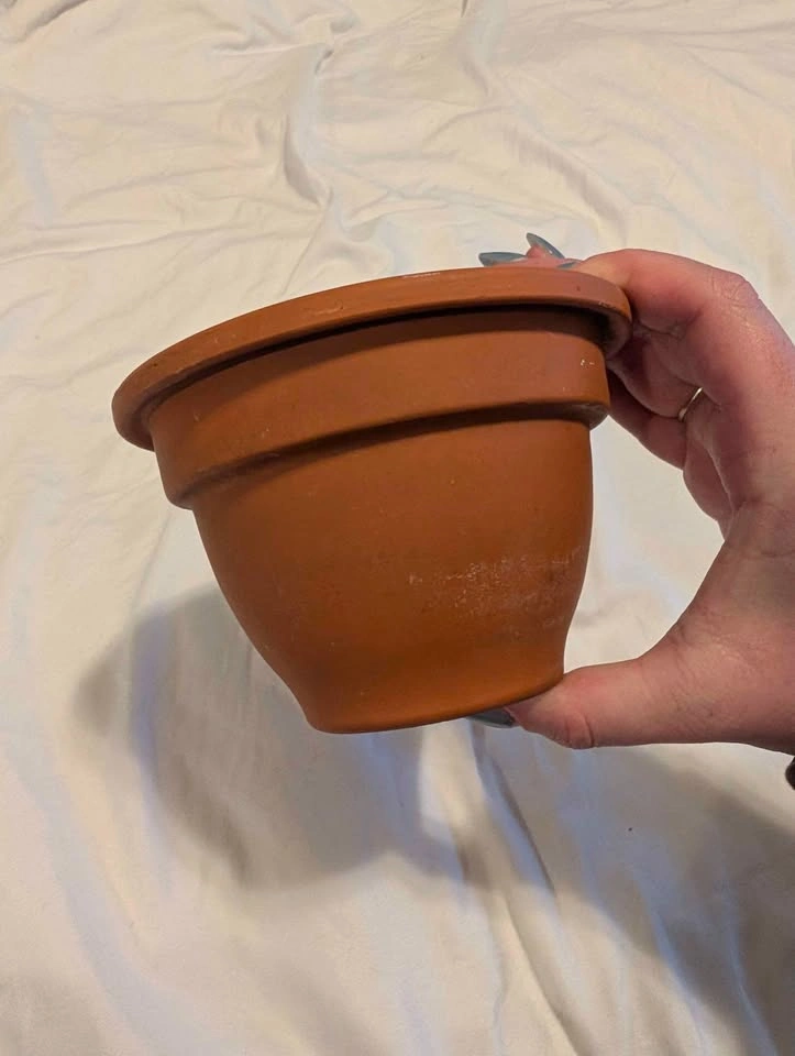 Terra Cotta Pot - photo 4