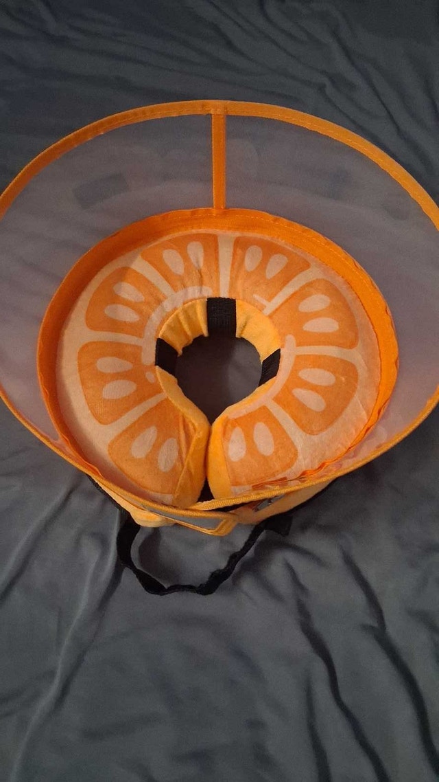 Mariyago inflatable dog recovery cone medium