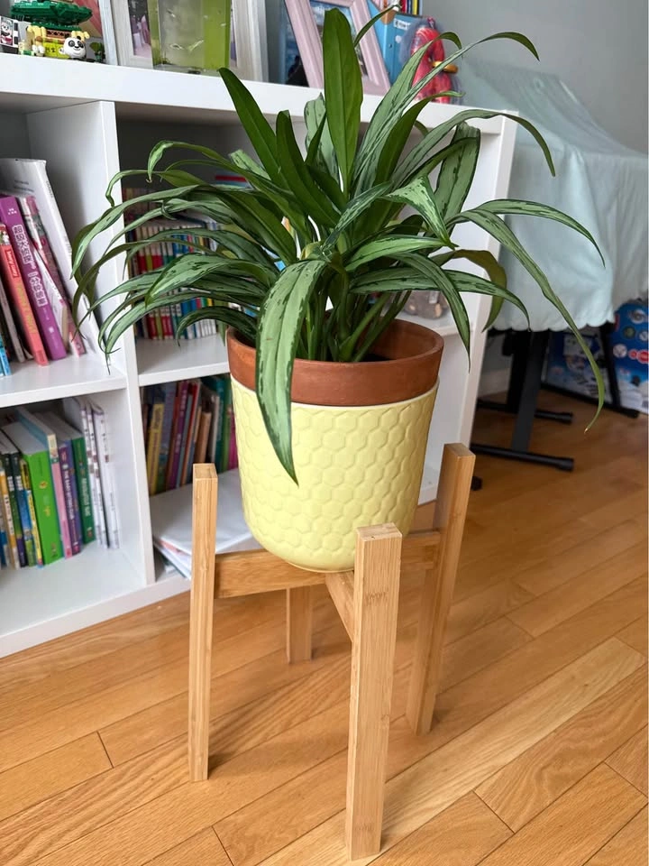 Bamboo Plant Stand - photo 2