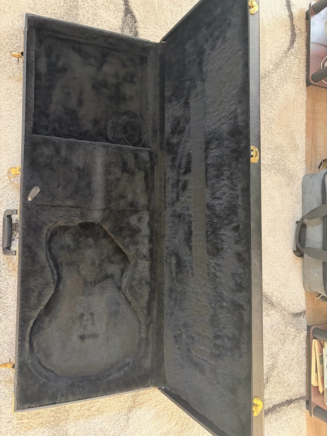 Godin Freeway Classic - photo 2