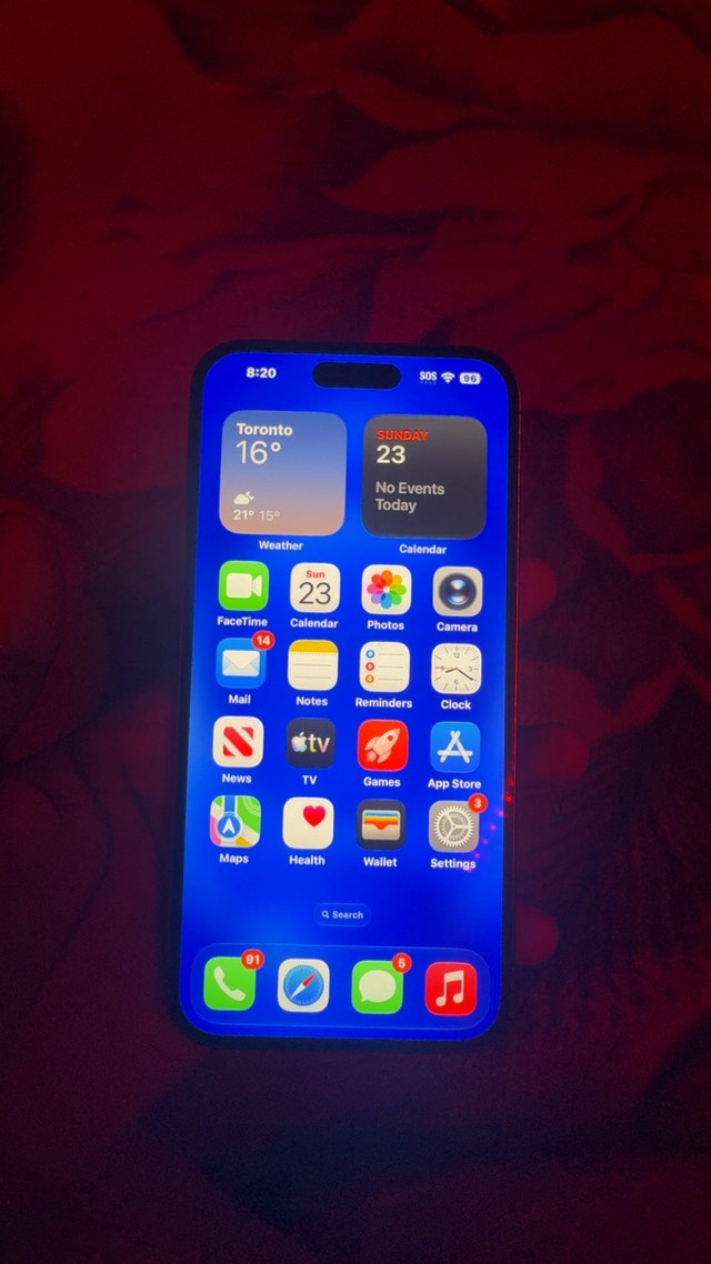 Apple iPhone 14 Pro Max - photo 4