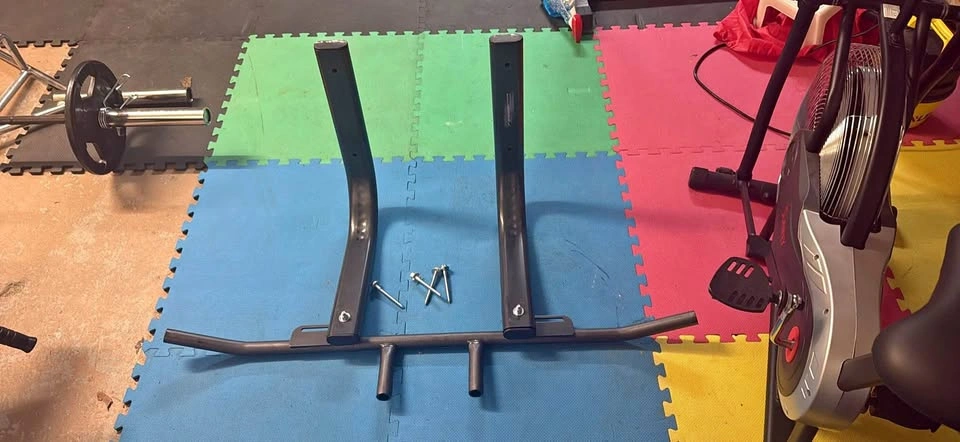 Northern Lights Wall Mounted Pull-Up Bar