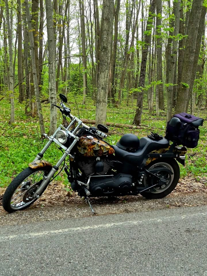 2005 Harley Davidson Night Train - photo 4