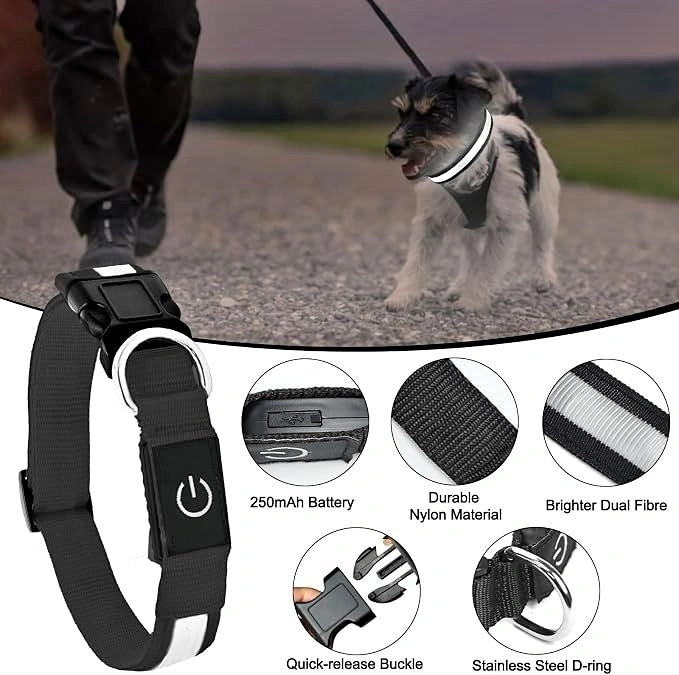 HIGH-VISIBILITY LIGHT-UP DOG COLLAR