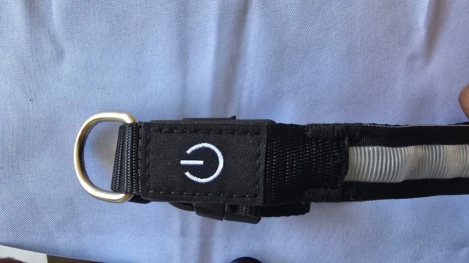 HIGH-VISIBILITY LIGHT-UP DOG COLLAR - photo 3