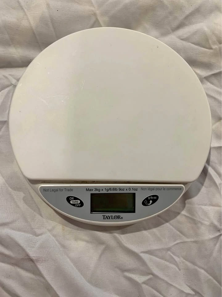 Taylor Digital Kitchen Scale