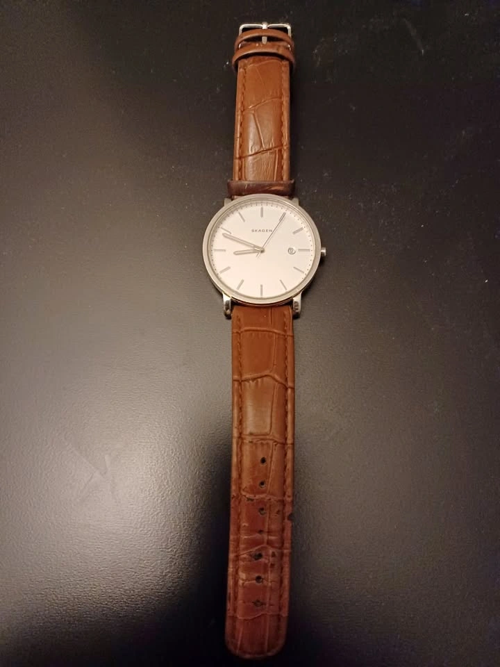 Wrist Watch Skagen SKW 6312