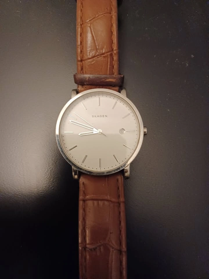 Wrist Watch Skagen SKW 6312 - photo 2