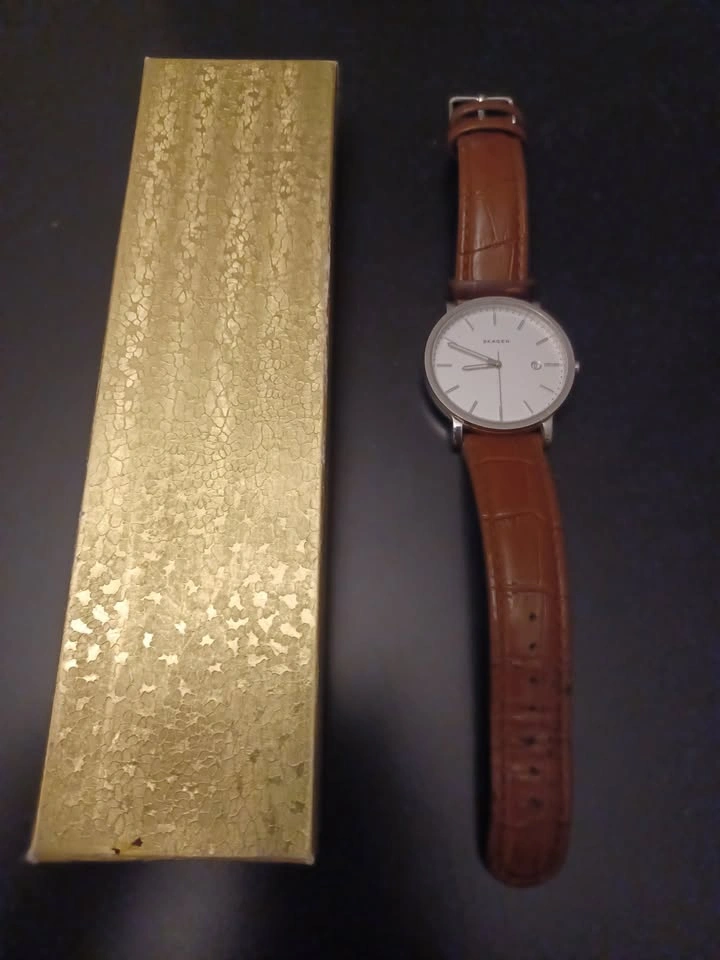 Wrist Watch Skagen SKW 6312 - photo 3