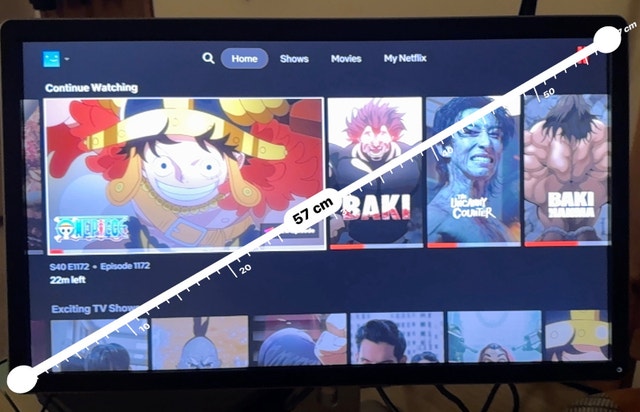 Dell Monitor