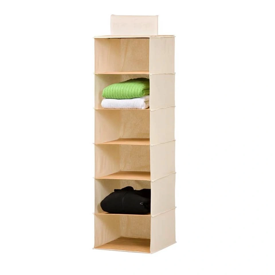 6-Shelf Hanging Closet Organizer