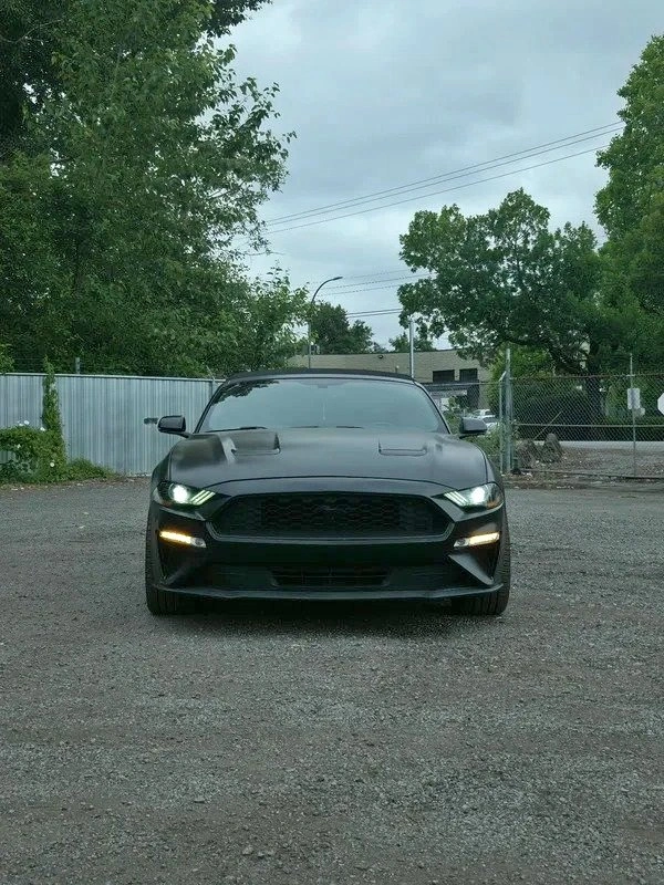 2019 Ford MUSTANG