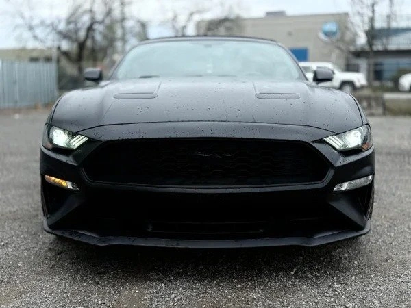 2019 Ford MUSTANG - photo 3