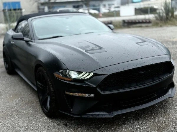 2019 Ford MUSTANG - photo 4