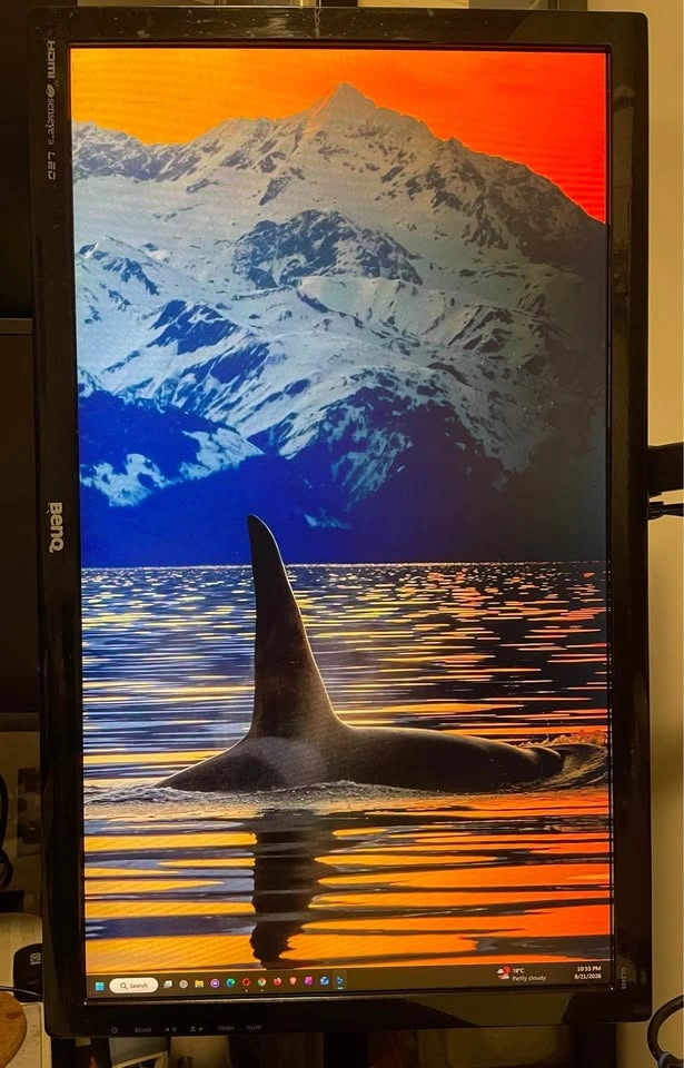 BenQ 1080p LED Monitor - 24-inch - 1920x1080 - photo 4