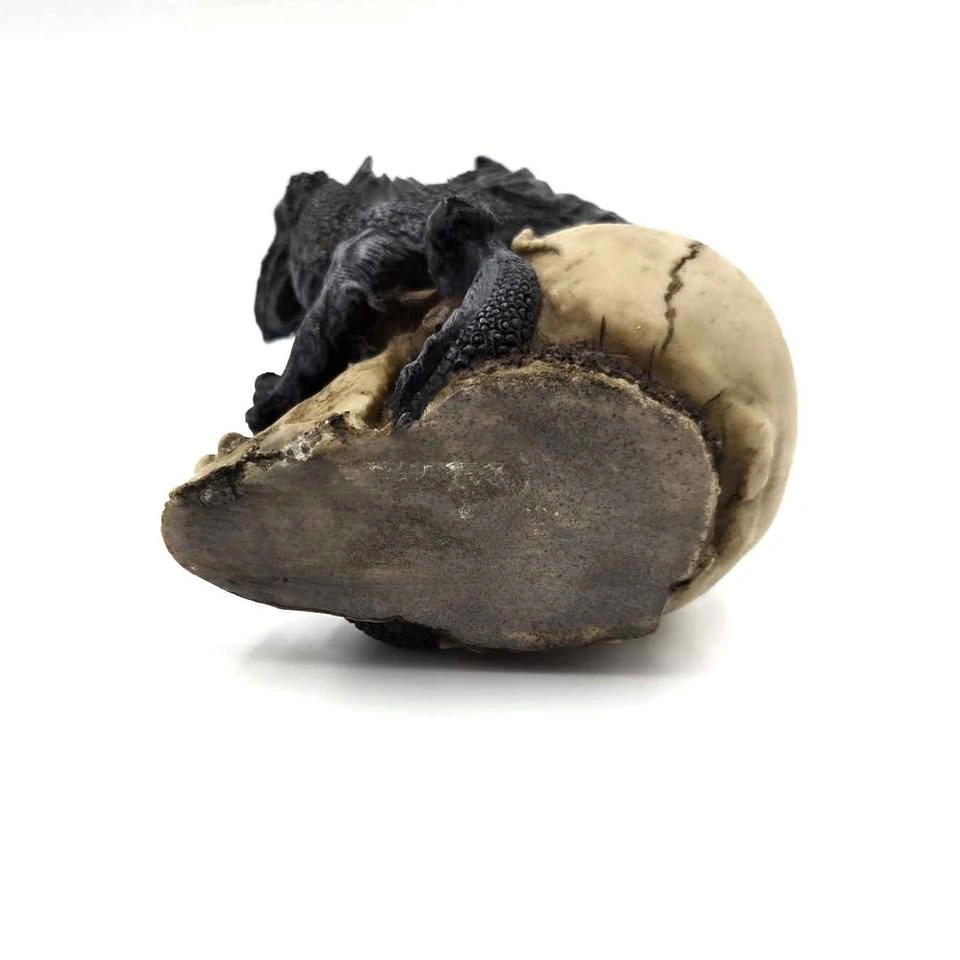 Dragon skull Decoration - photo 3