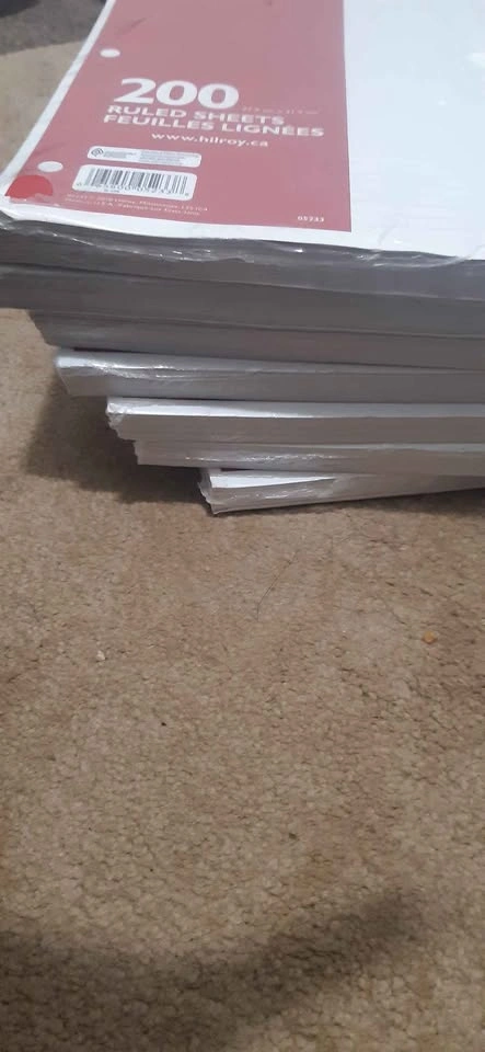 Ruled Loose Paper with 3 punch holes - photo 3