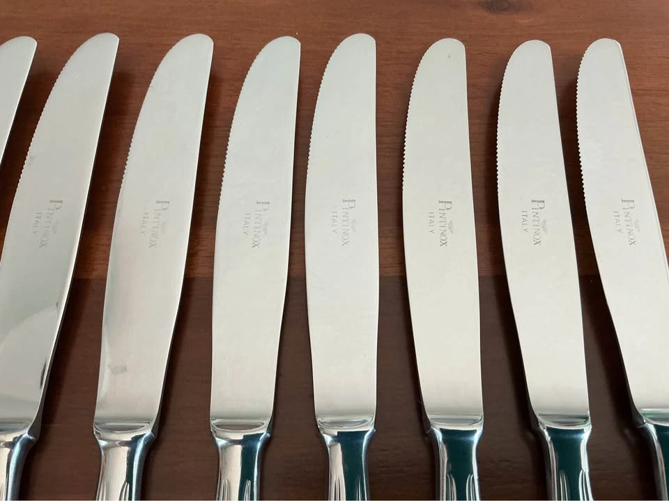 12-Piece Pinti (Pintinox) Italy 18/10 Stainless Steel Dinner Kni - photo 3