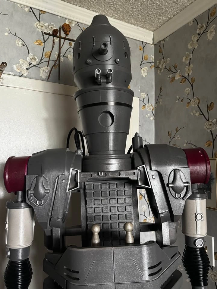 IG-12 with Grogu - Star Wars - photo 2