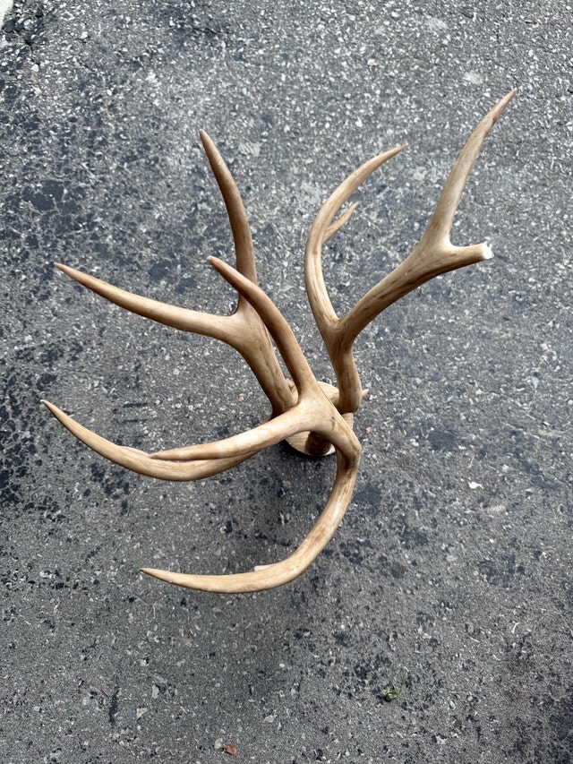 Hubrin Antler Chandelier - photo 3