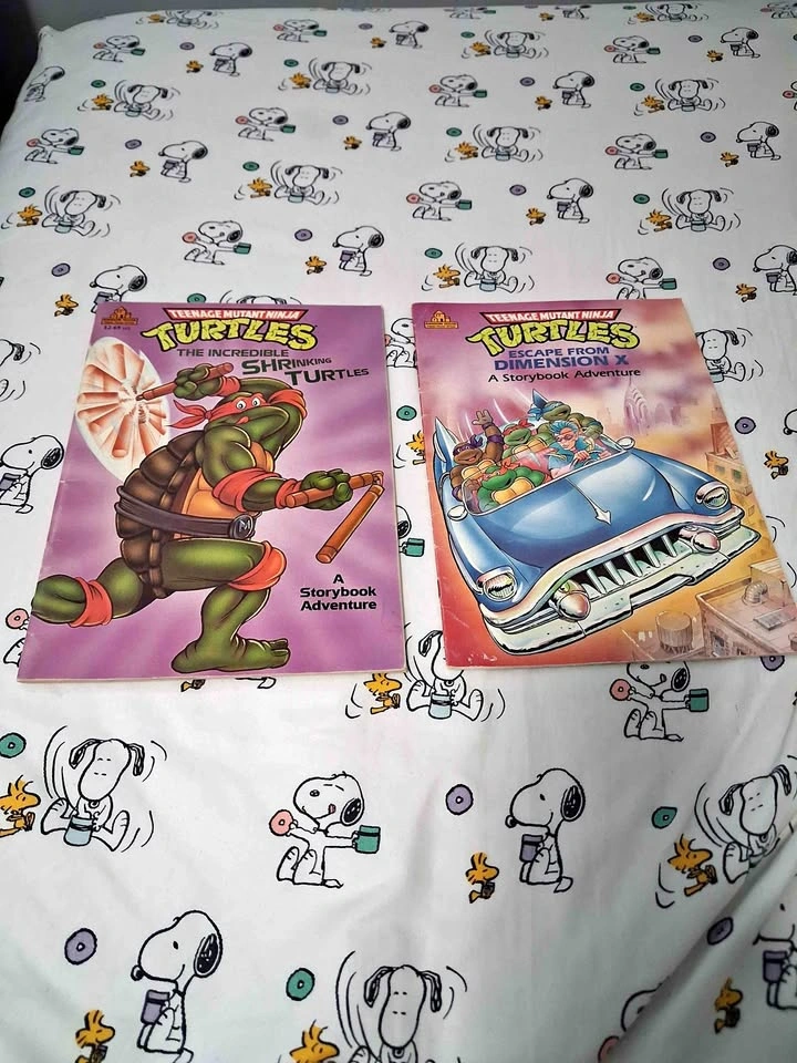 Vintage 1990s Teenage Mutant Ninja Turtles TMNT Childrens Pictur
