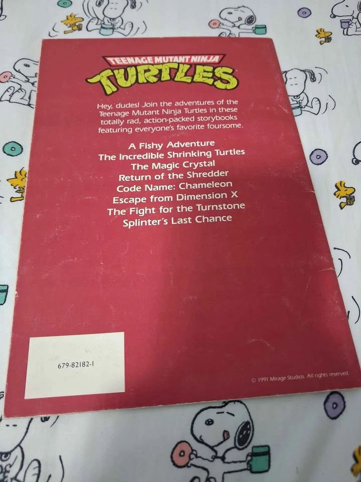 Vintage 1990s Teenage Mutant Ninja Turtles TMNT Childrens Pictur - photo 5