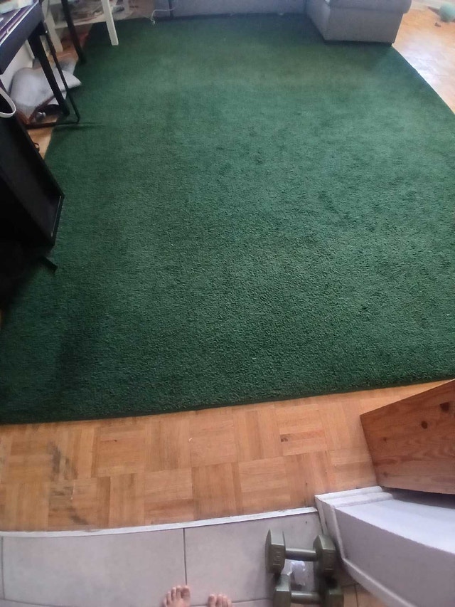 Big Green Carpet - photo 2
