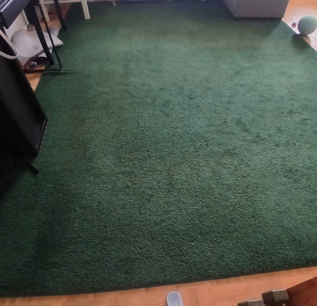 Big Green Carpet - photo 3