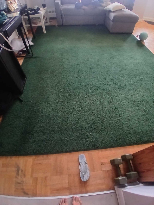 Big Green Carpet - photo 4