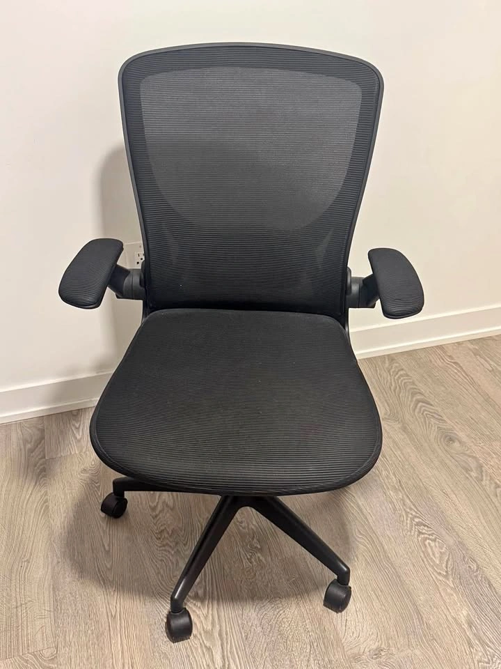 Office Chair - Moving Sale