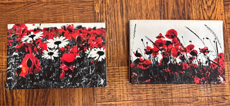 Ian Bradshaw Poppy Canvas Art Prints - Set of 2