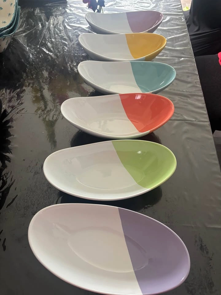 PLATES NEVER USED - photo 2
