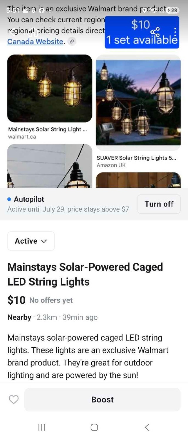 Mainstays Solar-Powered Caged LED String Lights