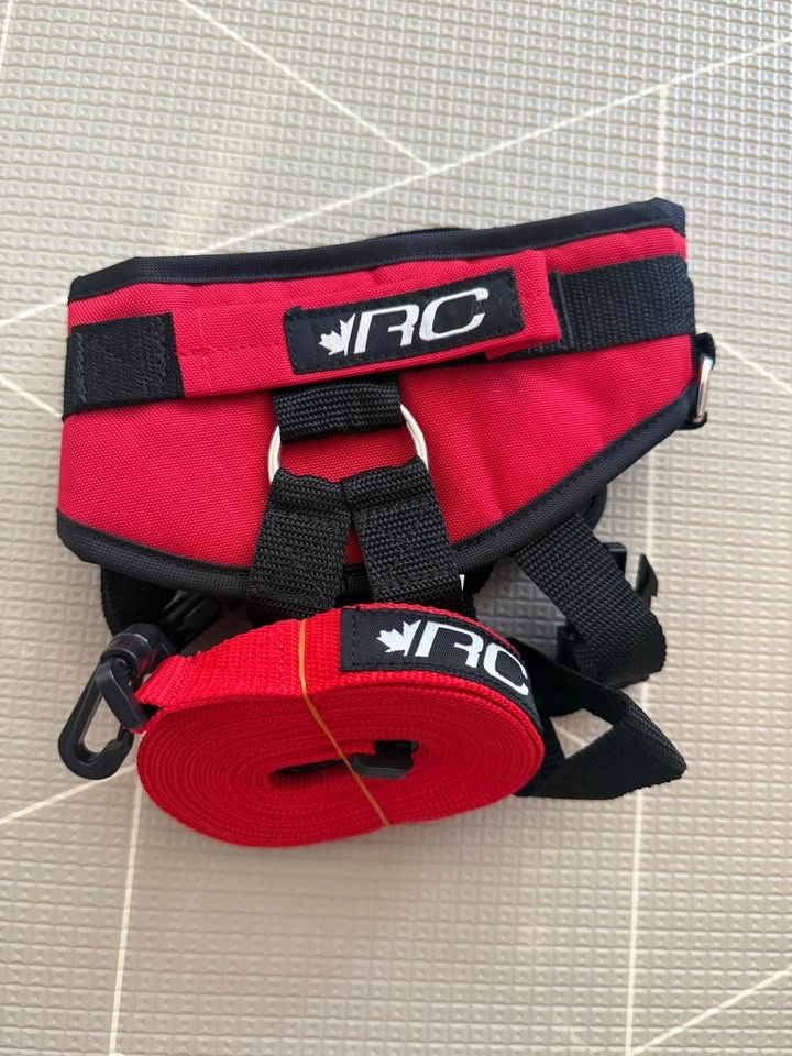 RC Kids Ski Training Harness – Brand New - photo 2