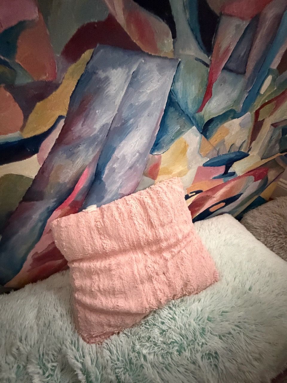 Fluffy Throw Pillows - photo 3